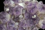 Amethyst Cluster ( lbs) - Massive Points #65011-6